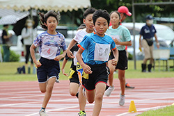 第20回三条市民スポーツ大会陸上競技