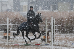 第20回三条市民スポーツ大会乗馬大会