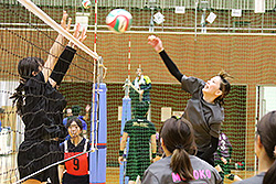 第21回三条市民スポーツ大会ファミリーバレーボール大会