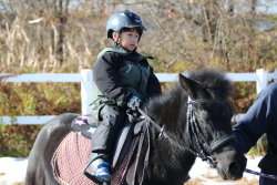 第21回三条市民スポーツ大会乗馬大会